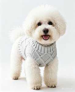 Pull pour chien en tricot diamanté fait main, pull d'hiver pour animaux <span class=keywords><strong>de</strong></span> compagnie, gilet en crochet pour <span class=keywords><strong>chiots</strong></span> <span class=keywords><strong>de</strong></span> petite taille - Product Image 1