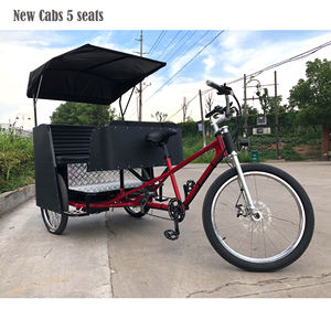 Nuovo Modello di Risciò Elettrico, Pedicab Ester con Display LCD - Product Image 6