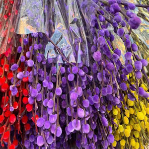 Hochwertige B-2596 konservierte Blumen Pflanzen <span class=keywords><strong>Pussy</strong></span> <span class=keywords><strong>Willow</strong></span> Red Salix Silver <span class=keywords><strong>Willow</strong></span> für Weihnachts dekoration - Product Image 4