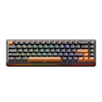 Clavier de jeu magnétique sans fil AKKO Ray68 HE, disposition 65 %, mécanique OEM, RT 0,01 mm, ARGB, éclairage RGB Hot-Swap, 8000 Hz Polling