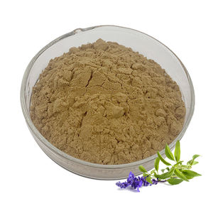 Заводская поставка, высокое качество, экстракт шалфея в порошке, карнозная кислота, 15% натуральный антиоксидантный экстракт шалфея - Product Image 1