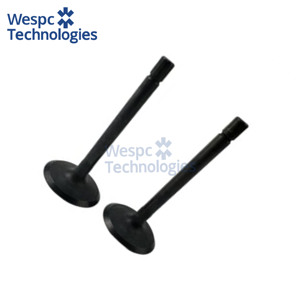 Soupape d'admission en fonte haute durabilité WESPC U20166380 pour moteurs Perkins 403A 403D 403F 403 403A-11G - Product Image 4