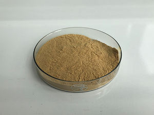Insen Supply <span class=keywords><strong>Gymnema</strong></span> Sylvestre Gymnemic Zuren <span class=keywords><strong>Gymnema</strong></span> Sylvestre Leaf Extract - Product Image 5