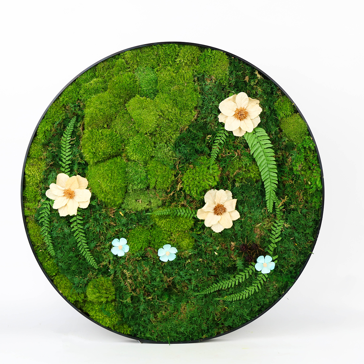 Fleur blanche, mousse verte.