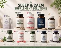 Capsules de Magnésium B6 L-Théanine OEM – Complément de Soutien Quotidien Contre le Stress