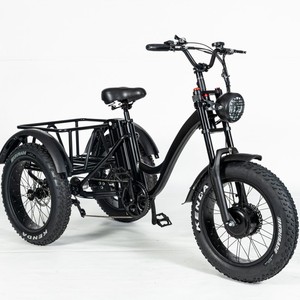 <span class=keywords><strong>Triciclo</strong></span> Eléctrico de Carga y Pasajeros de 3 Ruedas para Adultos, 750W/500W, con Marco de Acero, Llanta de Aleación y Neumático Ancho, Chino, Venta al por Mayor - Product Image 2