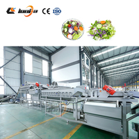 500kg/u Chicory Groentewasmachine vortex Groentewasmachine Broccoli Spinazie Salade Reinigingslijn