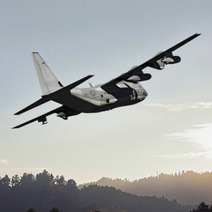 Tarifs rentables d'expédition de transitaire FBA Air Express depuis l'agent d'expédition de la Chine - Product Image 6