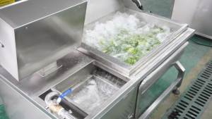 Machine à laver commerciale à ozone et à bulles pour fruits, maïs et légumes avec réservoir basculant - Product Image 2