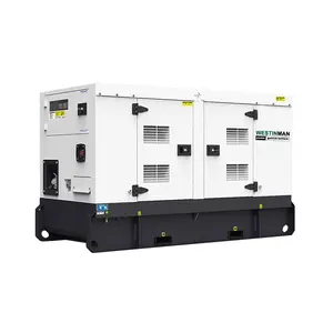 中国强力发动机的低噪声电力发电机20kw 25kva 40kw 50kva