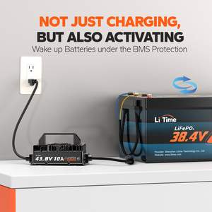 Chargeur de batterie au lithium LiTime à installation flexible, étanche, 59,06 pouces, avec indicateurs LED, sortie 36V 10A, <span class=keywords><strong>90</strong></span>-260V AC - Product Image 4