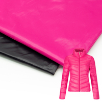 20D Nylon Calandrage Downproof Imperméable Respirant Veste D'hiver Matériel Taffetas Tissu pour Femmes Hommes pour Parachute Filles