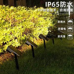 Projecteurs solaires de jardin IP65 étanches, éclairages paysagers extérieurs pour patio, cour, allée - Product Image 1
