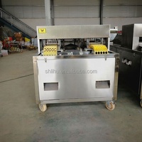 Commerciële automatische machine voor het ontpitten van dadelpitten, rode dadelpitten en pruimen.