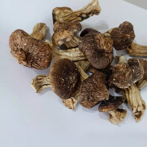 Deliciosos Hongos Shiitake Secos, <span class=keywords><strong>Matsutake</strong></span> Seco, <span class=keywords><strong>Tricholoma</strong></span> <span class=keywords><strong>Matsutake</strong></span> Seco - Product Image 4