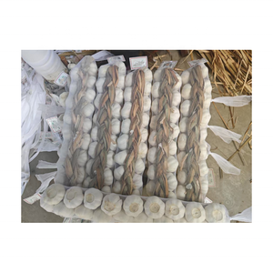 Exportación de <span class=keywords><strong>ajo</strong></span> rojo de alta calidad, <span class=keywords><strong>ajo</strong></span> blanco púrpura fresco, <span class=keywords><strong>ajo</strong></span> orgánico para el mercado de Oriente Medio - Product Image 3