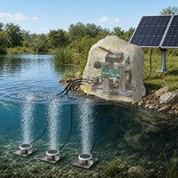 Aérateur de bassin à roches artificielles avec moteur BLDC, système d'aération à double alimentation solaire et CA avec contrôle intelligent MPPT pour bassin à poissons de 1 acre