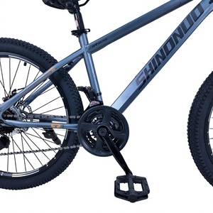 <span class=keywords><strong>Bici</strong></span> da Spiaggia in Acciaio a Prezzo di Fabbrica, <span class=keywords><strong>Mountain</strong></span> <span class=keywords><strong>Bike</strong></span> da 26 Pollici per Uomo, Freno a Disco, 21 Velocità, Pneumatici Larghi, <span class=keywords><strong>Cerchi</strong></span> in Lega di Alluminio, Ammortizzata e Confortevole - Product Image 1