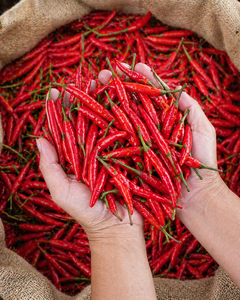 Piment rouge frais de haute qualité, piquant, marque Sulawesi, Indonésie, 2-5 cm, achat en vrac, épice brute, 0,2 kg - Product Image 1