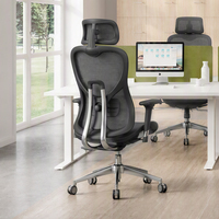Chaise de bureau ergonomique pivotante de luxe avec support lombaire réglable en 2D, base chromée et dossier en maille haute