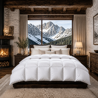 Couette d'hiver extra chaude 90% duvet de canard, taille King, avec compartiments, en coton anti-duvet, épaisse, vente en gros