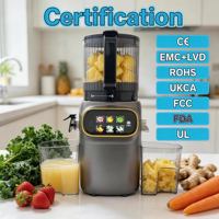 Slowjuicer Koude Persing Hoge Opbrengst 99% Masticeerende Extra Grote Invoeropening Stil RVS 2.5L DC Motor Automatische Omkeerfunctie
