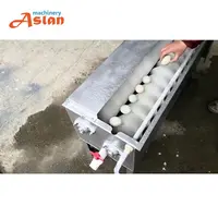 Goose Egg Cleaning Machine Chicken Egg Washer Duck Egg Washing Machine
