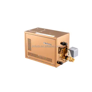 3kw 4.5kw 6kw 9kw Sauna Stoommachine Natte Stoombad Machine Stoomgenerator Voor Thuis