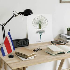 ธงคอสตาริกาแบบใหม่ขายส่ง ขนาด 14x21 ซม. พร้อมฐานตั้งสำหรับตกแต่งโต๊ะทำงานหรือโต๊ะสำนักงาน - Product Image 6