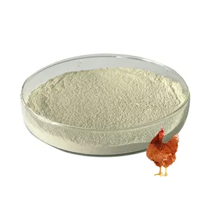 feed enzyme preparation poultry feed additive xylanase enzyme