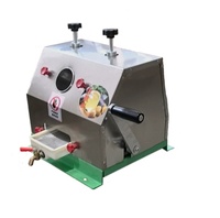 Meilleure vente : Extracteur de jus de canne à sucre en acier inoxydable avec moteur 450W, facile à utiliser