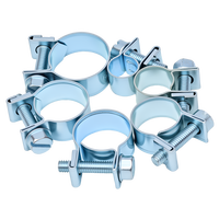 Colliers de serrage miniatures en zinc bleu et blanc |   Petits clips de fixation à vis pour conduites de carburant, tuyaux d'air et tubes d'eau
