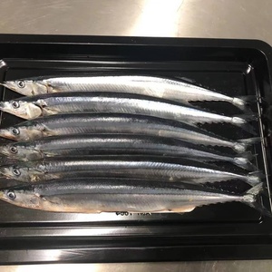Machine d'emballage sous vide INCHOI pour micro/petits emballages sous vide pour la viande, les fruits de mer, le bœuf, les sandwichs - Product Image 4