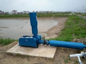 Soplador de Aire para Acuicultura de 15KW 22KW en Oferta, Soplador Industrial Roots con Fuente Neumática de Alta Presión - Product Image 4
