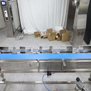 Báscula Electrónica con Cinta Transportadora para Clasificar y Calibrar en Peso Patatas, Pescado y Pollos - Product Image 4