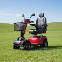 Véhicule électrique de mobilité senior de grande taille 24V 800W avec système de freinage sécurisé