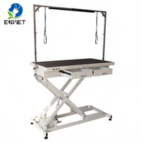 Table de toilettage électrique pour animaux EUR VET, équipement vétérinaire, double commande, hauteur réglable, table antidérapante pour clinique vétérinaire