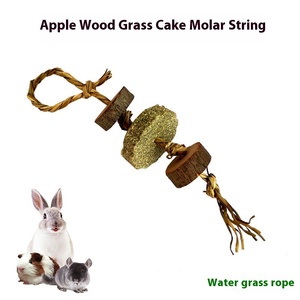 Lapins Fournitures pour petits animaux Jouet <span class=keywords><strong>de</strong></span> meulage des dents Pommes Bois Luzerne Gâteaux Pailles à mordre pour cochons d'Inde Chinchillas Hamsters Animaux <span class=keywords><strong>de</strong></span> <span class=keywords><strong>compagnie</strong></span> - Product Image 3