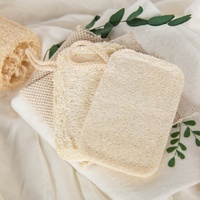 Épurateur de vaisselle en luffa de cuisine naturel biodégradable Durable Réutilisable Zéro Déchet Compostable Eco Nettoyage Luffa Éponge