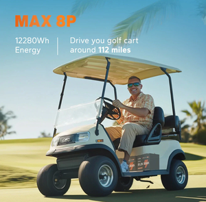 हम स्टॉक टैरिफ की बचत थोक 48v 30h गोल्फ कार्ट लिथियम बैटरी जी 2 धातु केस 5 साल की वारंटी - Product Image 5