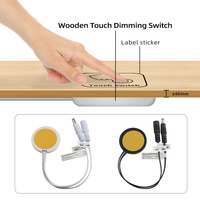 Interrupteur tactile LED DC12V/24V peut pénétrer le bois, la pierre, la surface cachée en plastique 5A/60W interrupteur de commande tactile