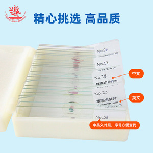 Biological specimen slides, 25 new animal combination kits, clear tissue <b>microscope</b> accessories, biological slides, specimens - Product Image 3