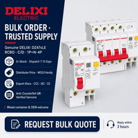 DELIXI Disjoncteur différentiel 2P 6A RCBO Courbe C 230V 6kA 30mA Protection contre les fuites à la terre PA66 Cuivre 10000 cycles CE