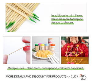 Stuzzicadenti Usa e Getta Ecologici in Bambù dal Vietnam con Aroma di Menta, Stuzzicadenti a Cuneo - Product Image 4