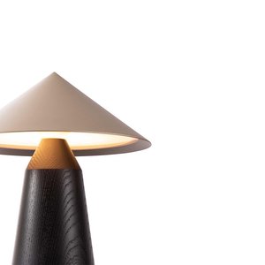Lampe de table minimaliste moderne, source de lumière LED, commande par interrupteur, pour salon, chambre à coucher, décoration de la maison - Product Image 1