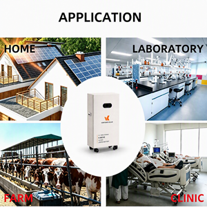 Système de Sauvegarde Énergétique pour Toute la Maison : Batterie Murale 15360Wh 300Ah, Stockage Solaire Haute Capacité pour Vie Hors Réseau, Sortie 15kW - Product Image 3