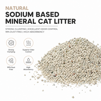 Litière pour chat minérale naturelle à base de sodium OEM, bonne capacité d'agglomération, absorption rapide de l'eau, économique