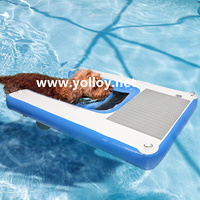 Ponton pour animaux de compagnie eau chiot planche rampe chien lit de quai gonflable pour les installations d'amusement de l'eau