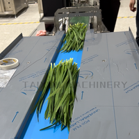 Machine d'emballage semi-automatique numérique pour coussins, film plastique PE, ensacheuse pour produits alimentaires