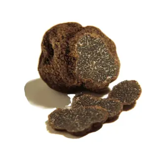 Detan ताजा काले Truffles मशरूम कंद Indicum के साथ उच्च गुणवत्ता वाले खाद्य कवक